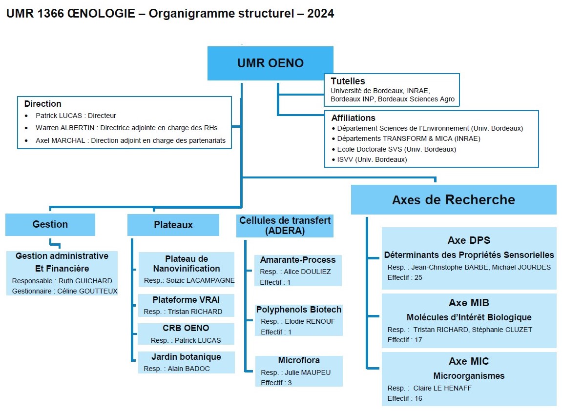 Organigrammes_Structurel_OENO_2024_02_05.jpg
