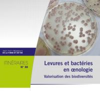 Plaquette IFV Levures et bactéries en oenologie