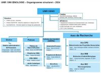 Organigrammes_Structurel_OENO_2024_02_05.jpg