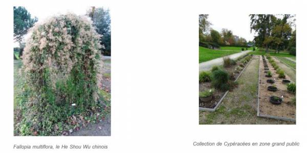Jardin botanique 3