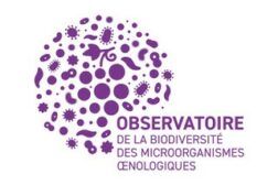 Logo Observatoire