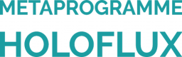 Logo Holoflux